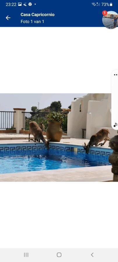 Casa Capricornio Bed & Breakfast Marbella Ngoại thất bức ảnh